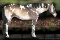 Horse Color:White Spotted Liver Red Onyx Varnish Rabicano 