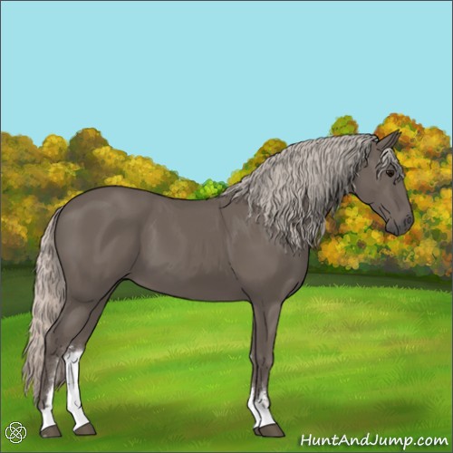 Horse Color:Silver Black Sabino