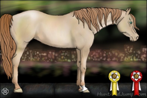 Horse Color:Smoky Black Pearl