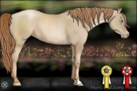 Horse Color:Smoky Black Pearl 