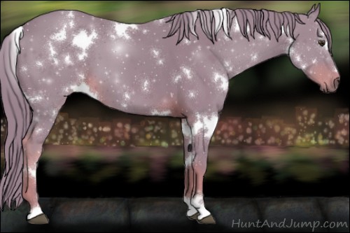 Horse Color:Watercolor White Spotted Liver Chestnut 
