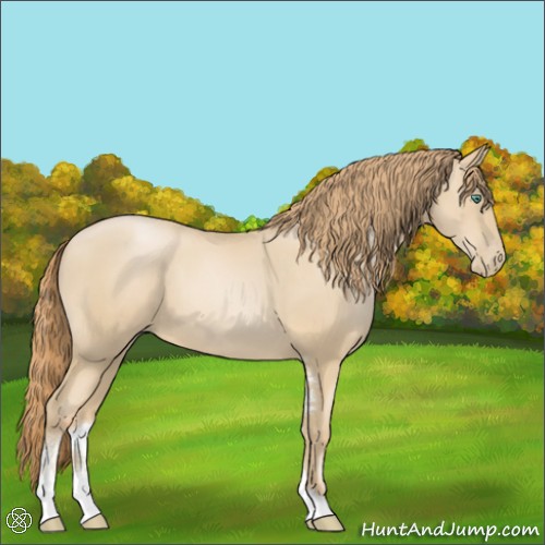 Horse Color:Smoky Black Pearl Sabino