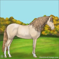 Horse Color:Smoky Black Pearl Sabino 