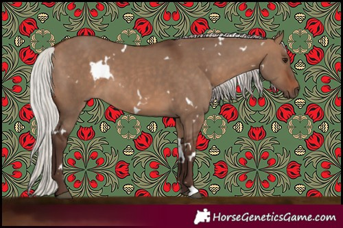 Horse Color:White Spotted Silver Brown Dun 
