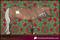 Horse Color:White Spotted Silver Brown Dun