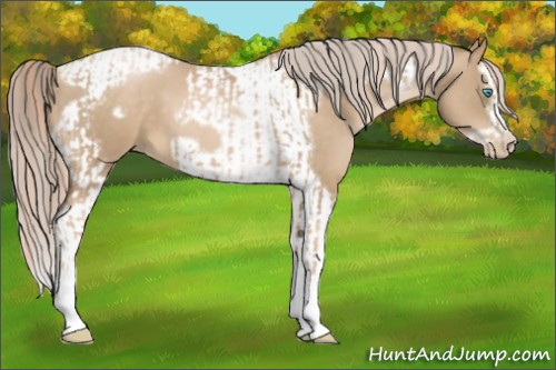 Horse Color:Chocolate Palomino Pearl Tobiano Frame  and Chocolate Palomino Pearl Splash Tobiano Frame 