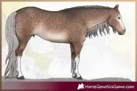 Horse Color:White Spotted Silver Brown Dun Sabino Rabicano Brindle 