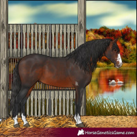 Horse Color:Brown 