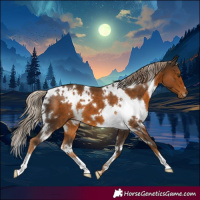 Horse Color:White Spotted Chocolate Palomino 