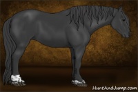 Horse Color:Platinum Black Tobiano