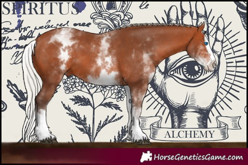 Horse Color:White Spotted Silver Bay Splash 