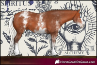 Horse Color:White Spotted Silver Bay Splash 