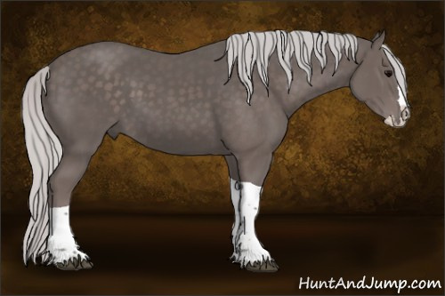 Horse Color:Platinum Silver Black Splash Tobiano