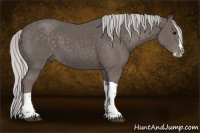 Horse Color:Platinum Silver Black Splash Tobiano 