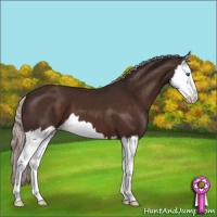 Horse Color:Silver Brown Splash 