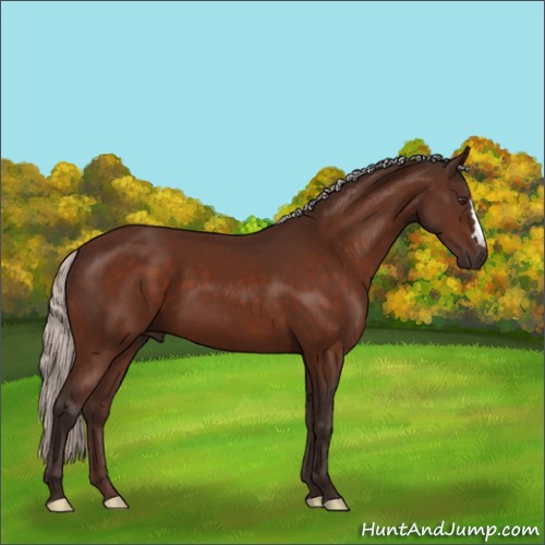 Horse Color:Silver Brown 