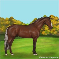 Horse Color:Silver Brown 