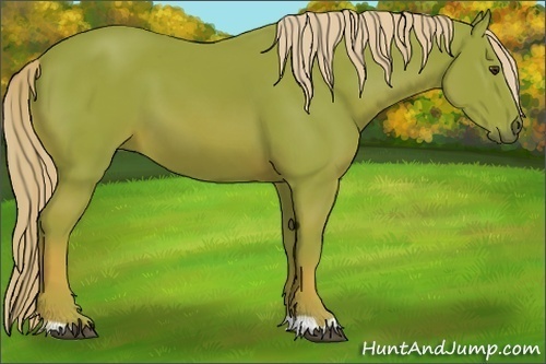 Horse Color:Watercolor Chestnut 