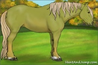 Horse Color:Watercolor Chestnut 