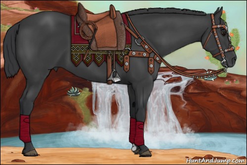 Horse Color:Black 