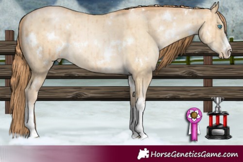 Horse Color:White Spotted Buckskin Pearl Dun Brindle 