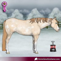 Horse Color:White Spotted Buckskin Pearl Dun Brindle