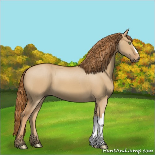 Horse Color:Red Dun 