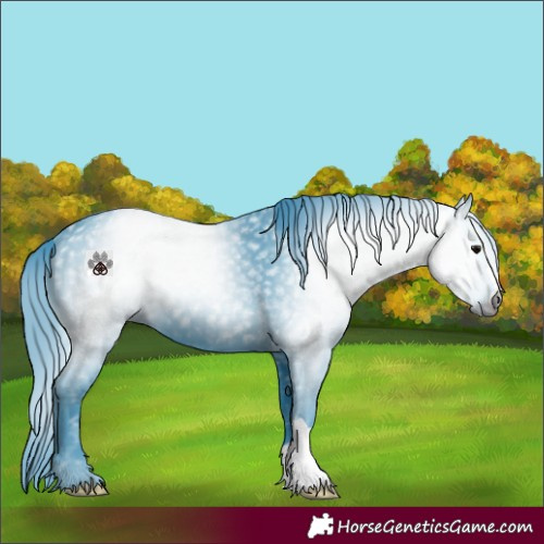 Horse Color:Gray Watercolor Black 