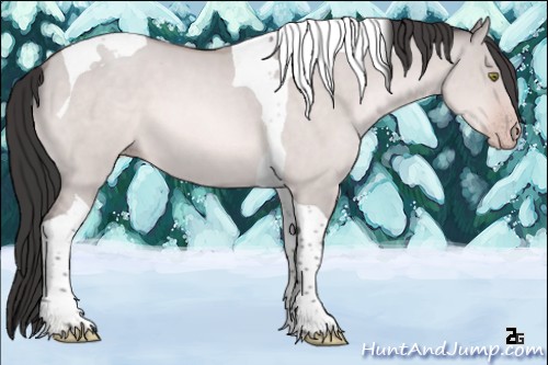 Horse Color:Platinum Sable Champagne Dun Tobiano 
