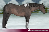 Horse Color:Platinum Liver Chestnut Tobiano 