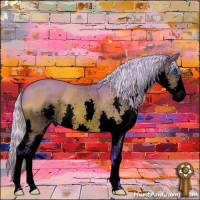 Horse Color:Void Watercolor Silver Brown Sabino Splash