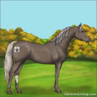 Horse Color:Silver Black 