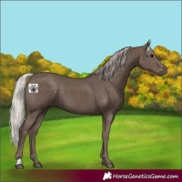 Horse Color:Silver Black 