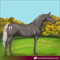 Horse Color:Silver Black 