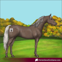 Horse Color:Silver Black 