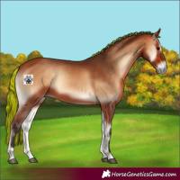 Horse Color:Painted Bay Onyx 