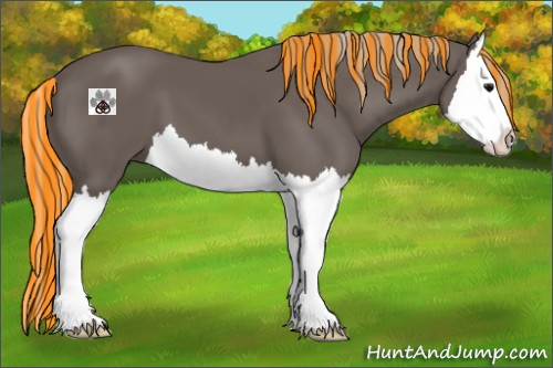 Horse Color:Painted Silver Black Splash 