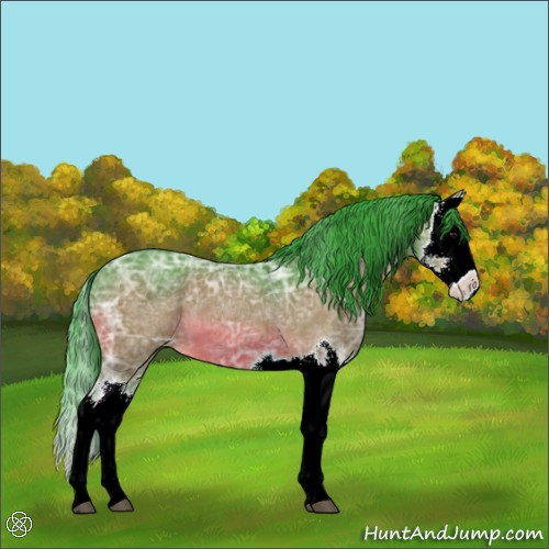 Horse Color:Watercolor Bay Ice Splash