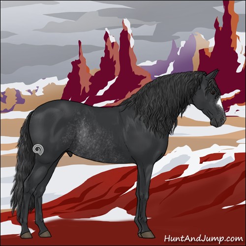 Horse Color:Black Rabicano