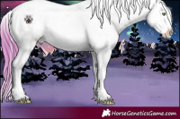 Horse Color:Gold Champagne Roan Dun Splash Appaloosa