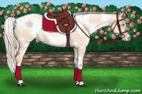Horse Color:White Spotted Palomino Pearl Dun