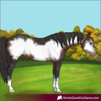 Horse Color:Brown Frame 