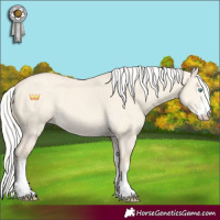 Horse Color:Silver Perlino Dun Sabino 
