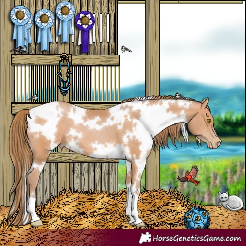 Horse Color:White Spotted Bay Pearl 