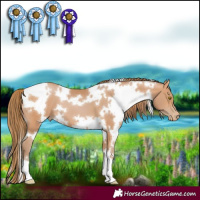 Horse Color:White Spotted Bay Pearl