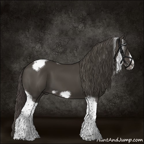 Horse Color:Smoky Black Tobiano Frame 