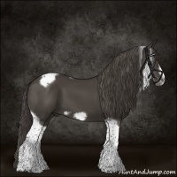 Horse Color:Smoky Black Tobiano Frame 