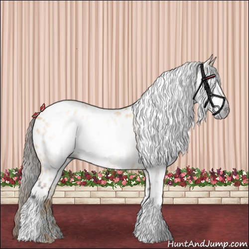 Horse Color:Gray Buckskin Dun Appaloosa 