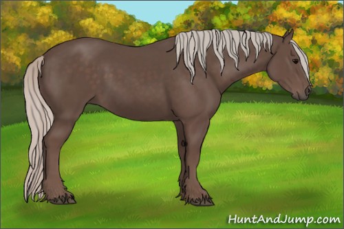 Horse Color:Silver Black 