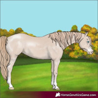 Horse Color:Smoky Creme Sabino